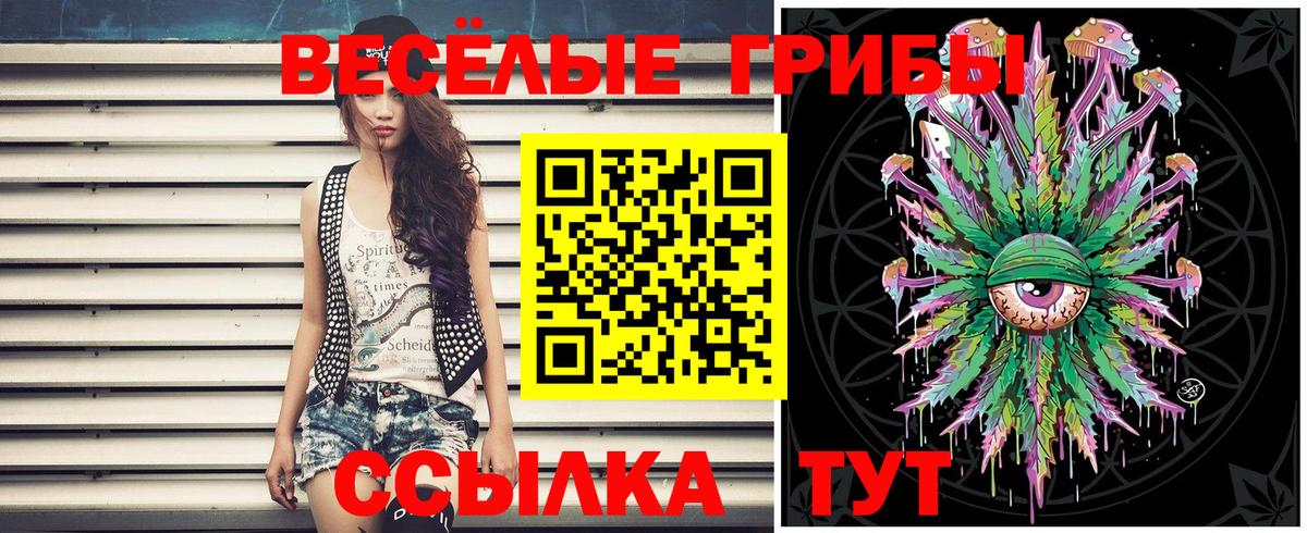 Чернушка  Галлюциногенные грибы MAGIC MUSHROOMS  Вход с VPN 