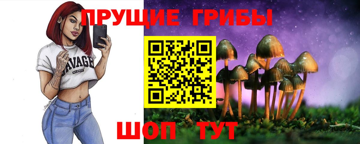 Галлюциногенные грибы GOLDEN TEACHER Чернушка